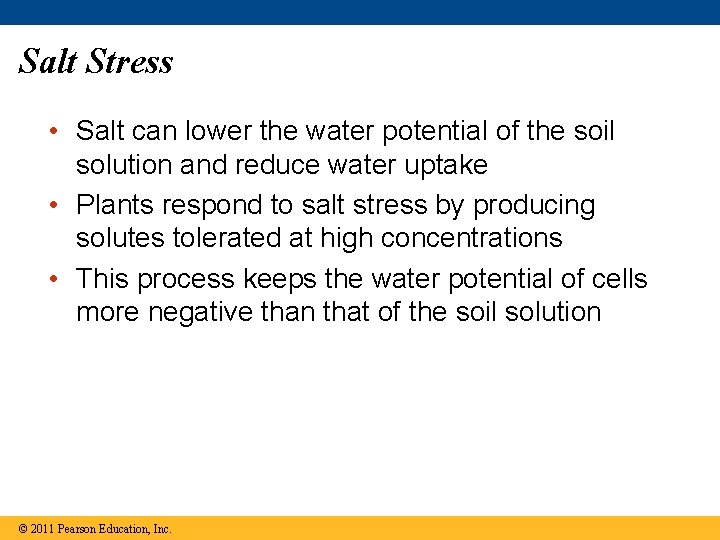 Salt Stress • Salt can lower the water potential of the soil solution and