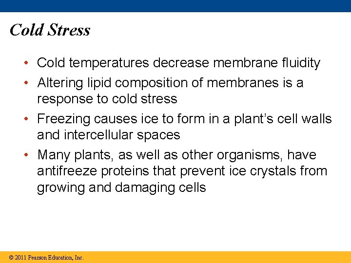Cold Stress • Cold temperatures decrease membrane fluidity • Altering lipid composition of membranes