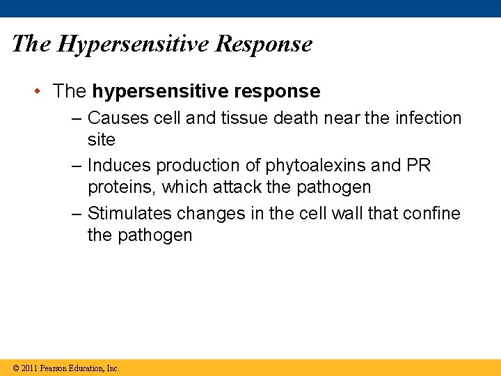 The Hypersensitive Response • The hypersensitive response – Causes cell and tissue death near