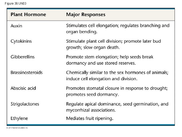 Figure 39. UN 03 