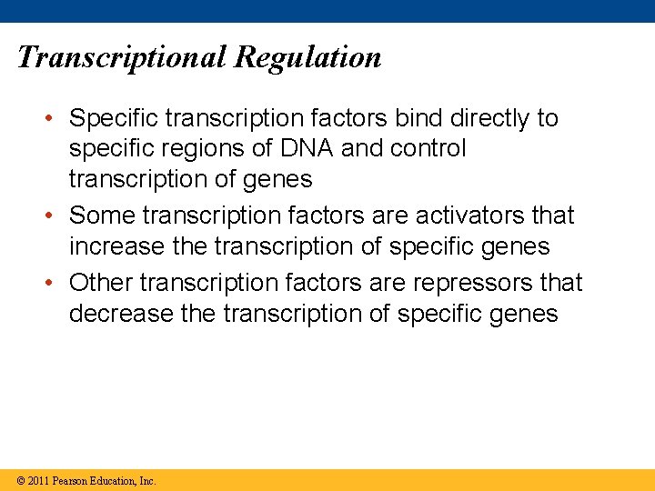 Transcriptional Regulation • Specific transcription factors bind directly to specific regions of DNA and