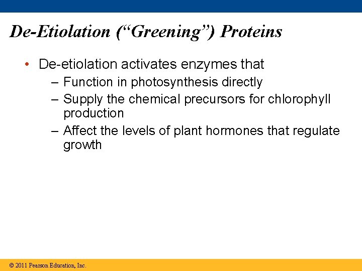 De-Etiolation (“Greening”) Proteins • De-etiolation activates enzymes that – Function in photosynthesis directly –