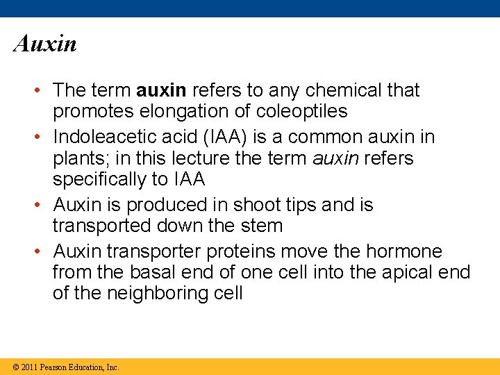 Auxin • The term auxin refers to any chemical that promotes elongation of coleoptiles