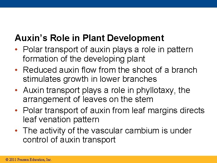 Auxin’s Role in Plant Development • Polar transport of auxin plays a role in