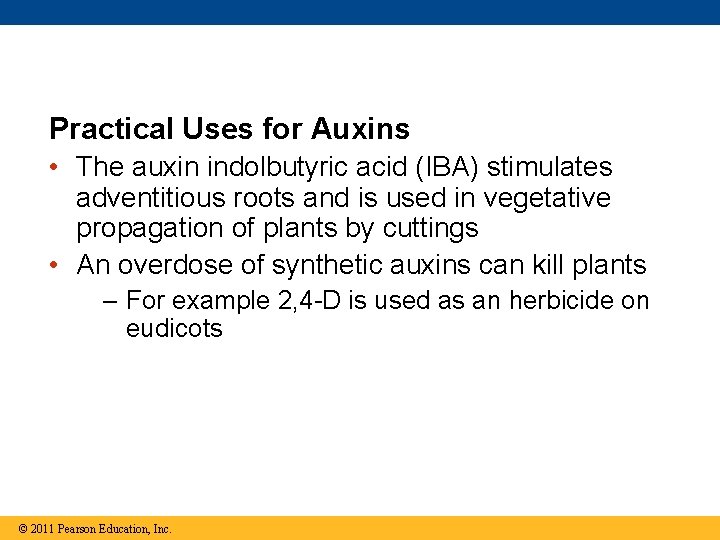 Practical Uses for Auxins • The auxin indolbutyric acid (IBA) stimulates adventitious roots and