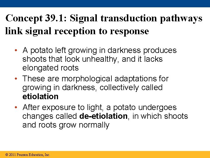 Concept 39. 1: Signal transduction pathways link signal reception to response • A potato