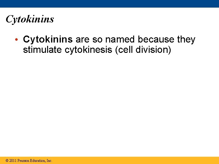 Cytokinins • Cytokinins are so named because they stimulate cytokinesis (cell division) © 2011