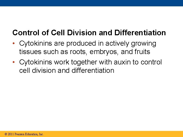 Control of Cell Division and Differentiation • Cytokinins are produced in actively growing tissues