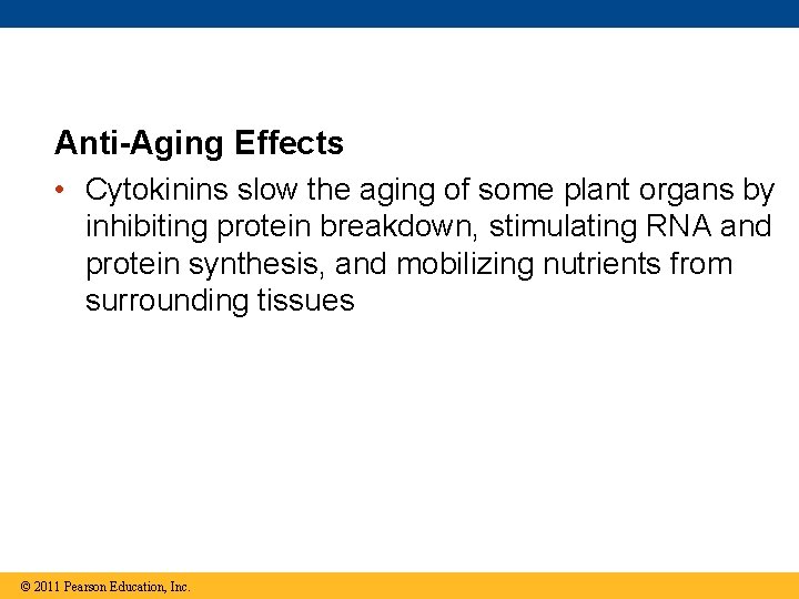 Anti-Aging Effects • Cytokinins slow the aging of some plant organs by inhibiting protein