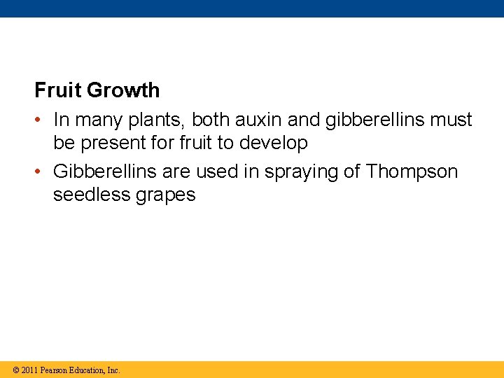 Fruit Growth • In many plants, both auxin and gibberellins must be present for