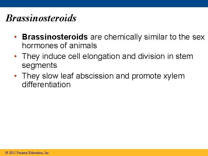 Brassinosteroids • Brassinosteroids are chemically similar to the sex hormones of animals • They