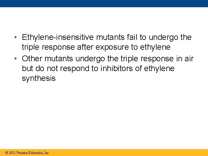  • Ethylene-insensitive mutants fail to undergo the triple response after exposure to ethylene