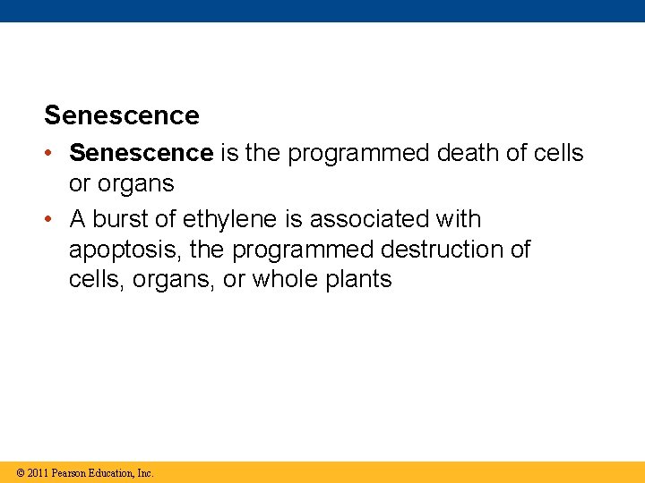 Senescence • Senescence is the programmed death of cells or organs • A burst