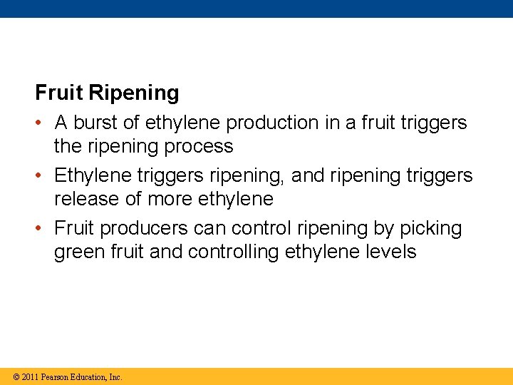 Fruit Ripening • A burst of ethylene production in a fruit triggers the ripening