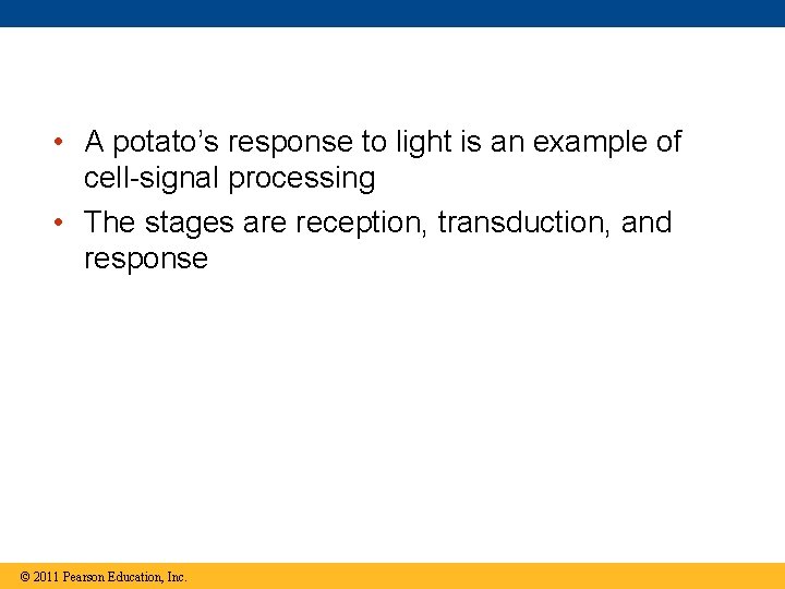  • A potato’s response to light is an example of cell-signal processing •