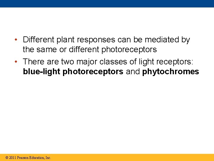  • Different plant responses can be mediated by the same or different photoreceptors