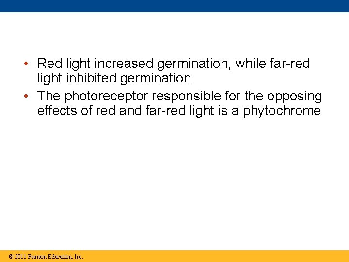  • Red light increased germination, while far-red light inhibited germination • The photoreceptor