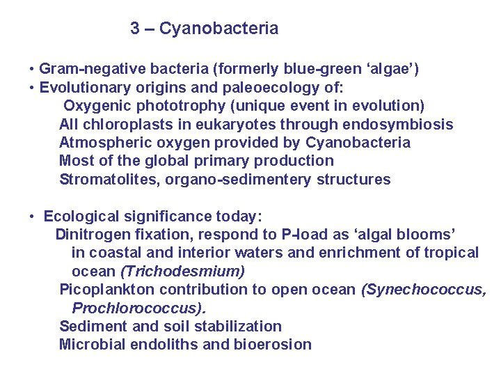 3 – Cyanobacteria • Gram-negative bacteria (formerly blue-green ‘algae’) • Evolutionary origins and paleoecology