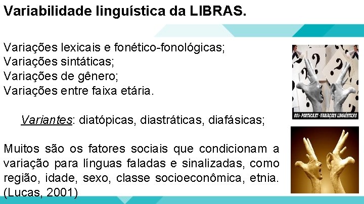 Variabilidade linguística da LIBRAS. Variações lexicais e fonético-fonológicas; Variações sintáticas; Variações de gênero; Variações