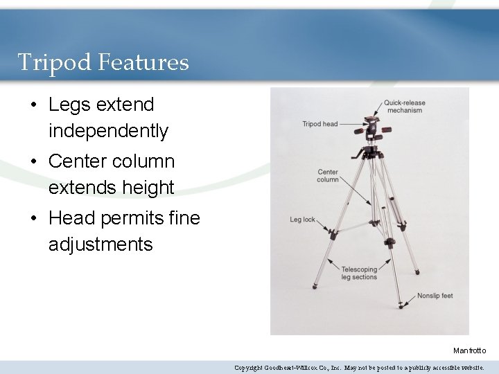 Tripod Features • Legs extend independently • Center column extends height • Head permits