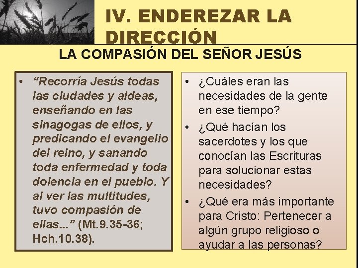 IV. ENDEREZAR LA DIRECCIÓN LA COMPASIÓN DEL SEÑOR JESÚS • “Recorría Jesús todas las