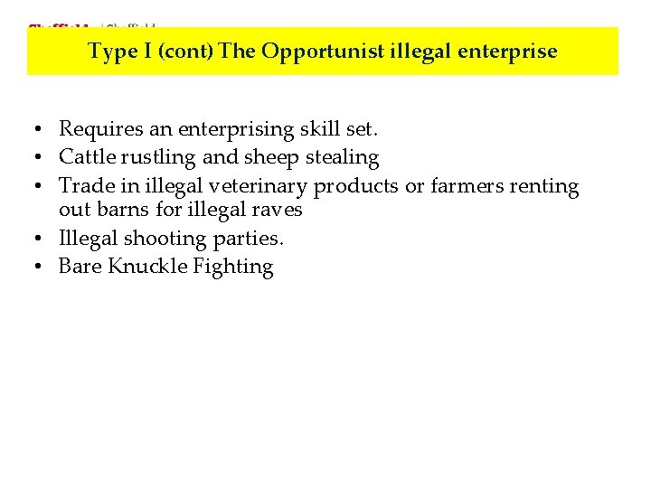 Type I (cont) The Opportunist illegal enterprise • Requires an enterprising skill set. •