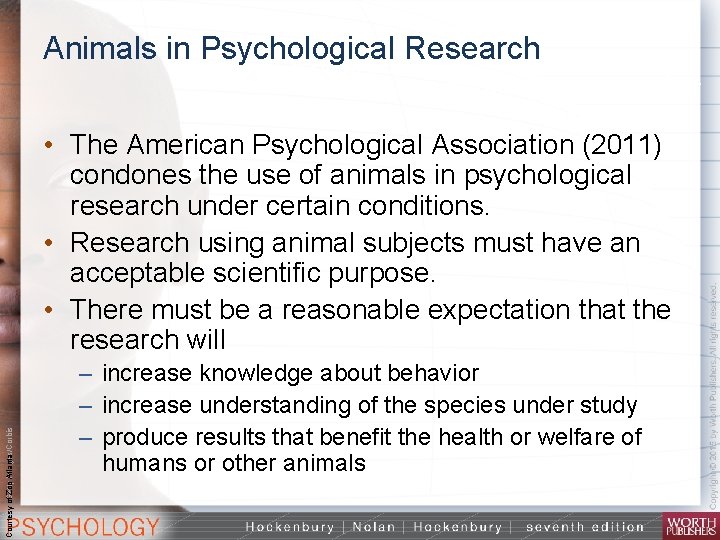 Animals in Psychological Research 90% of psychology research actually uses humans, not animals, as