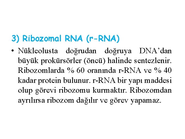 3) Ribozomal RNA (r-RNA) • Nükleolusta doğrudan doğruya DNA’dan büyük prokürsörler (öncü) halinde sentezlenir.