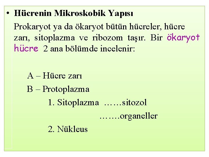  • Hücrenin Mikroskobik Yapısı Prokaryot ya da ökaryot bütün hücreler, hücre zarı, sitoplazma