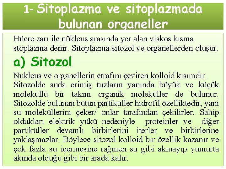 1 - Sitoplazma ve sitoplazmada bulunan organeller Hücre zarı ile nükleus arasında yer alan