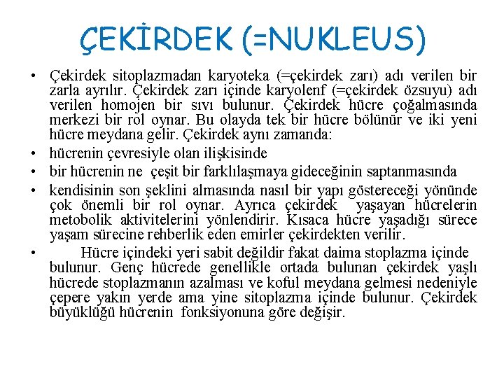 ÇEKİRDEK (=NUKLEUS) • Çekirdek sitoplazmadan karyoteka (=çekirdek zarı) adı verilen bir zarla ayrılır. Çekirdek