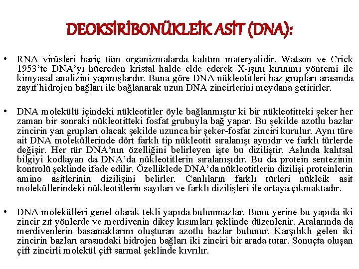 DEOKSİRİBONÜKLEİK ASİT (DNA): • RNA virüsleri hariç tüm organizmalarda kalıtım materyalidir. Watson ve Crick