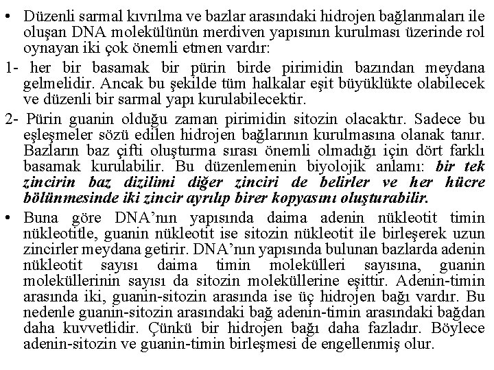  • Düzenli sarmal kıvrılma ve bazlar arasındaki hidrojen bağlanmaları ile oluşan DNA molekülünün