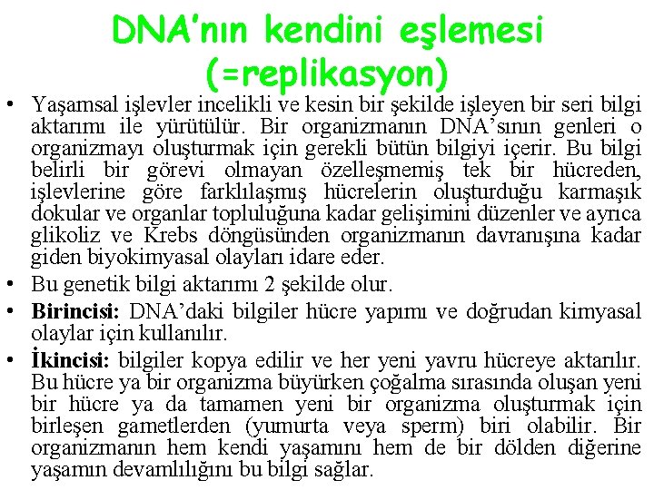 DNA’nın kendini eşlemesi (=replikasyon) • Yaşamsal işlevler incelikli ve kesin bir şekilde işleyen bir