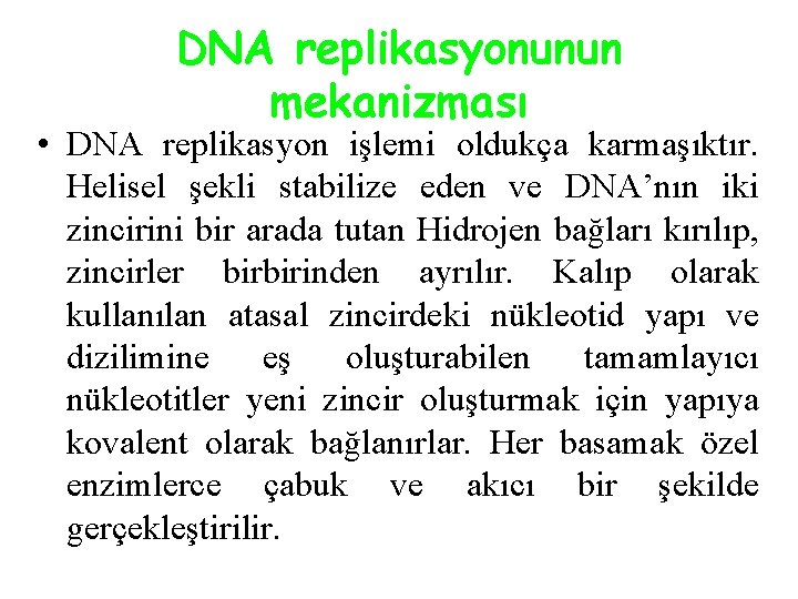 DNA replikasyonunun mekanizması • DNA replikasyon işlemi oldukça karmaşıktır. Helisel şekli stabilize eden ve