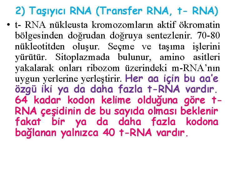 2) Taşıyıcı RNA (Transfer RNA, t- RNA) • t- RNA nükleusta kromozomların aktif ökromatin