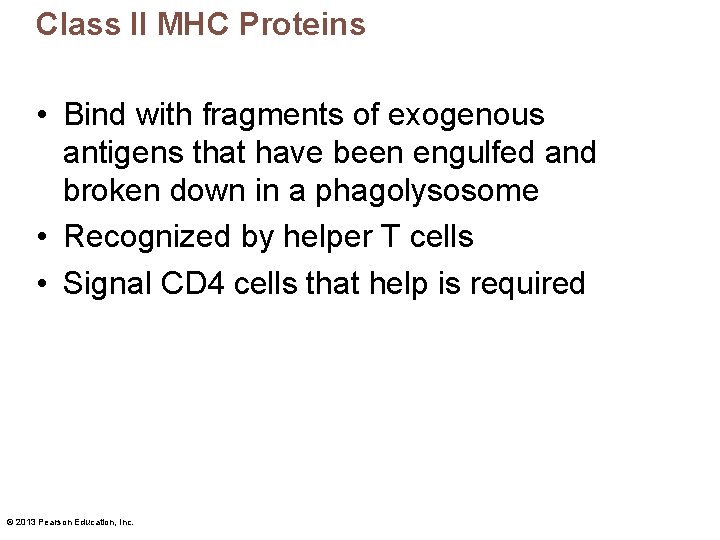 Class II MHC Proteins • Bind with fragments of exogenous antigens that have been