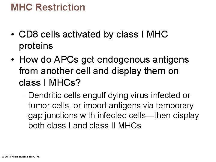 MHC Restriction • CD 8 cells activated by class I MHC proteins • How