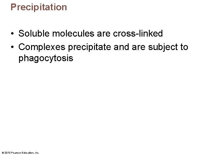 Precipitation • Soluble molecules are cross-linked • Complexes precipitate and are subject to phagocytosis