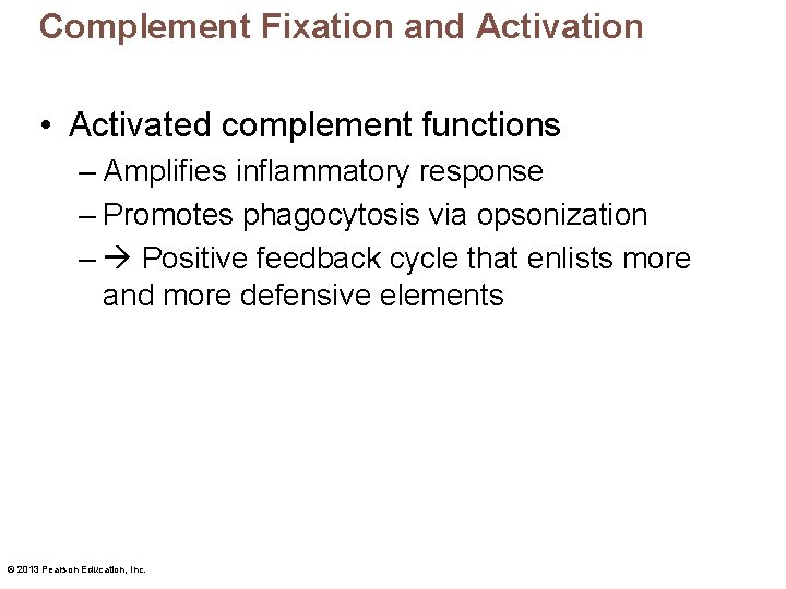 Complement Fixation and Activation • Activated complement functions – Amplifies inflammatory response – Promotes