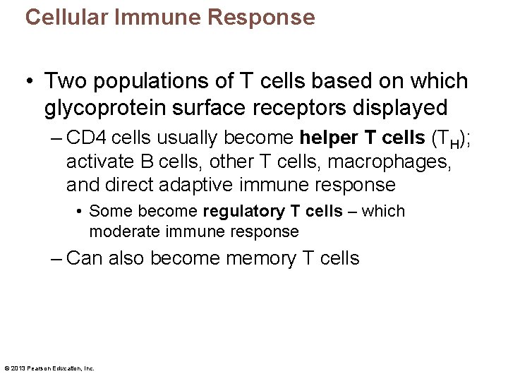 Cellular Immune Response • Two populations of T cells based on which glycoprotein surface