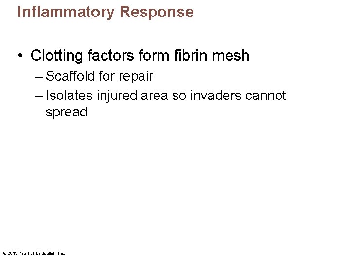 Inflammatory Response • Clotting factors form fibrin mesh – Scaffold for repair – Isolates