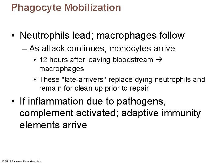 Phagocyte Mobilization • Neutrophils lead; macrophages follow – As attack continues, monocytes arrive •