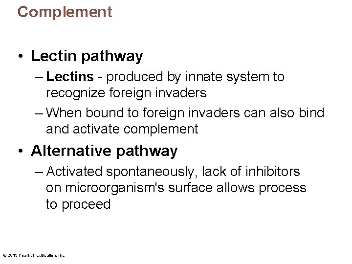 Complement • Lectin pathway – Lectins - produced by innate system to recognize foreign