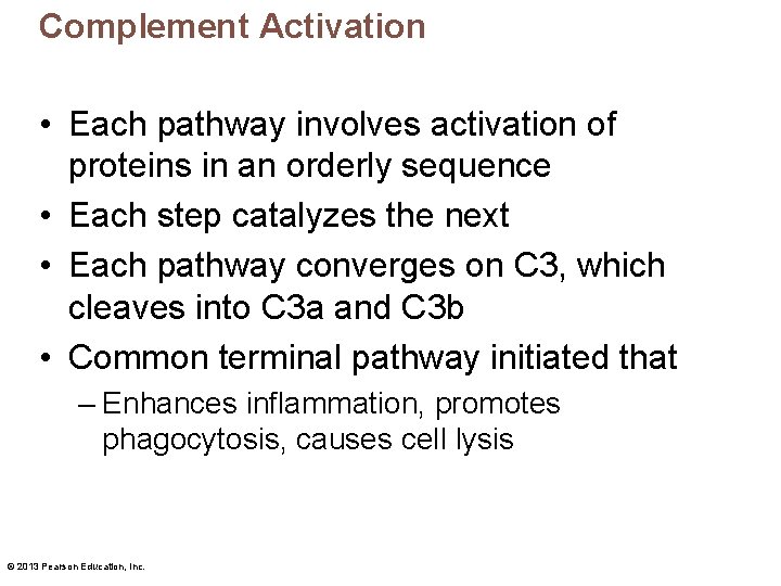 Complement Activation • Each pathway involves activation of proteins in an orderly sequence •