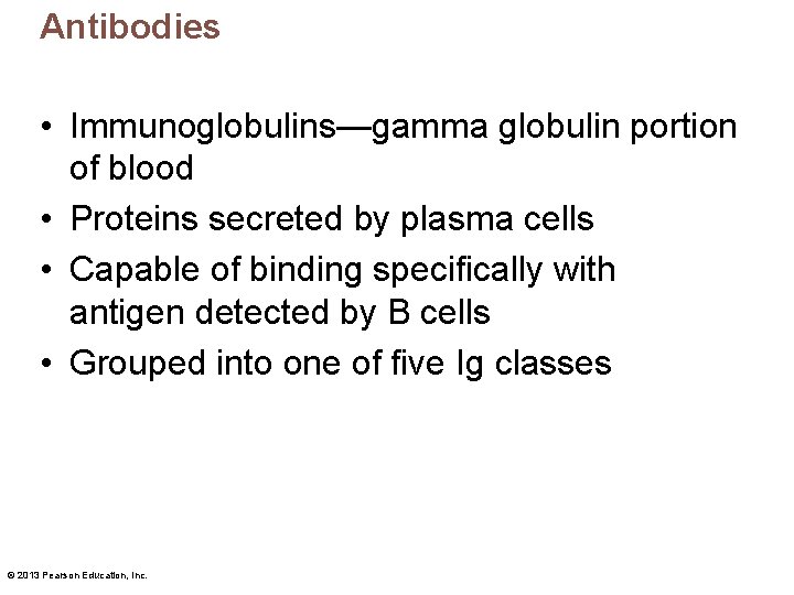 Antibodies • Immunoglobulins—gamma globulin portion of blood • Proteins secreted by plasma cells •