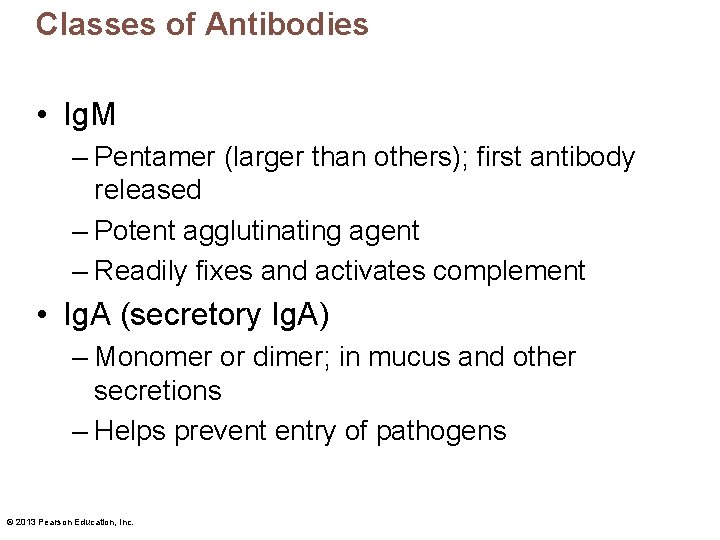 Classes of Antibodies • Ig. M – Pentamer (larger than others); first antibody released