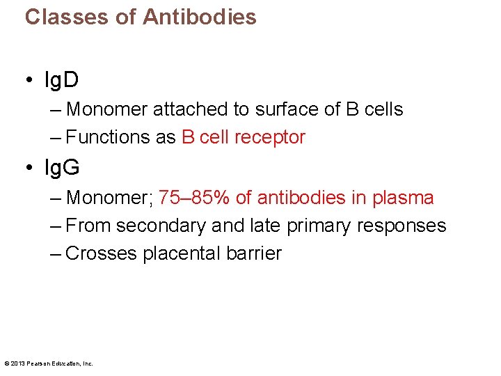 Classes of Antibodies • Ig. D – Monomer attached to surface of B cells