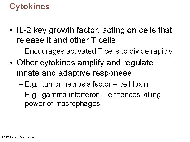 Cytokines • IL-2 key growth factor, acting on cells that release it and other