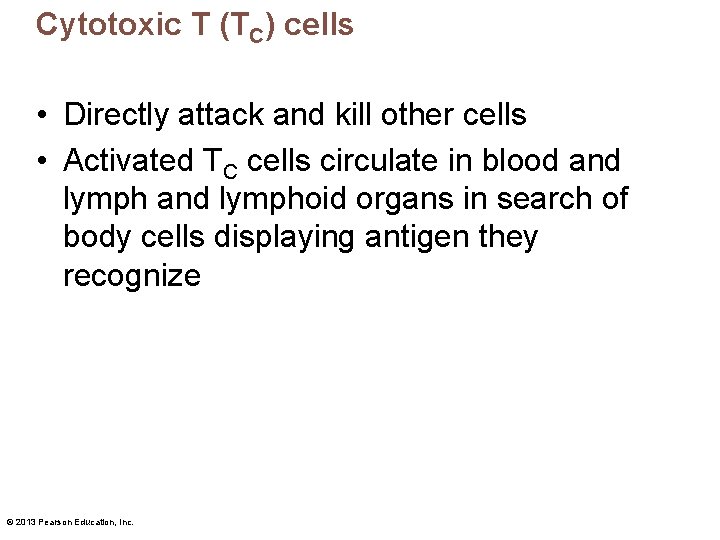 Cytotoxic T (TC) cells • Directly attack and kill other cells • Activated TC